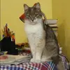 Отзыв от Алена Воробьева
